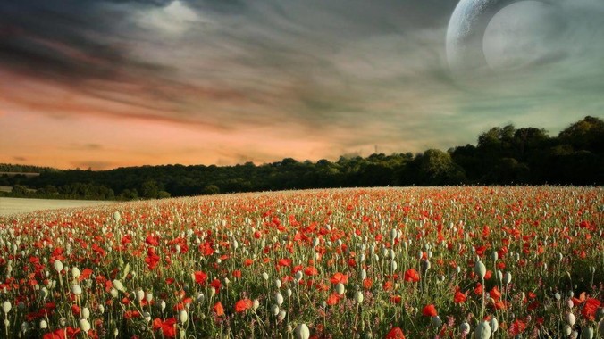 北大「韦神」粉丝破 2000 万，评论区成高考许愿池，如何看待家长们纷纷从韦神这里「沾福气」的心理？